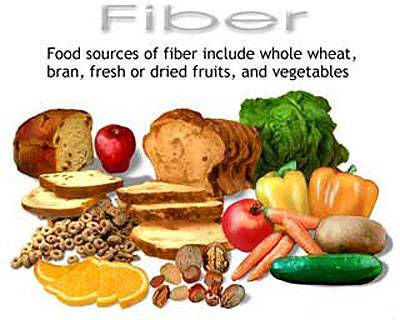 high fiber...lose weight