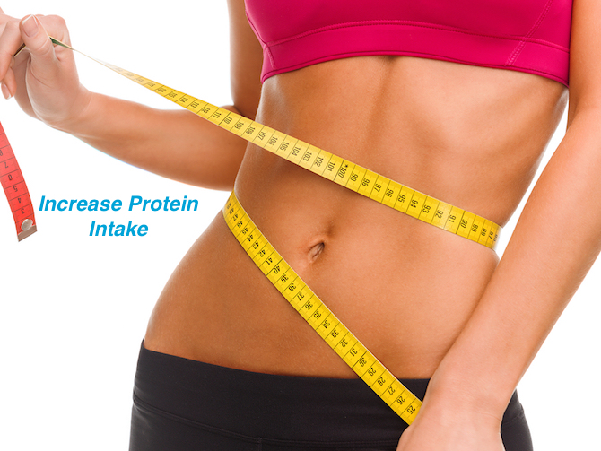 Increase Protein Intake - Lose Weight